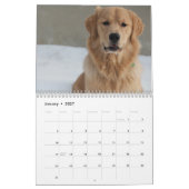 チームJoey Jax 2016年 カレンダー (1月 2027)