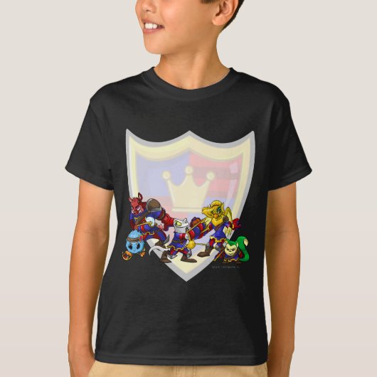 チームMeridellのグループ Tシャツ (正面)