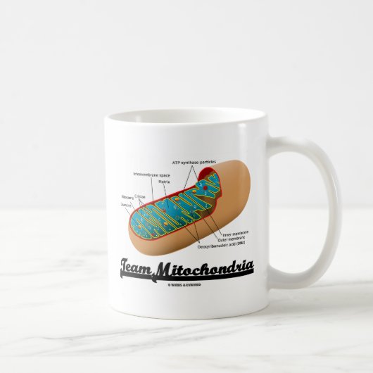 チームMitochondria (Mitochondrionのユーモア) コーヒーマグカップ (右)