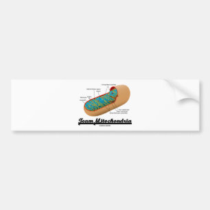 チームMitochondria (Mitochondrionのユーモア) バンパーステッカー