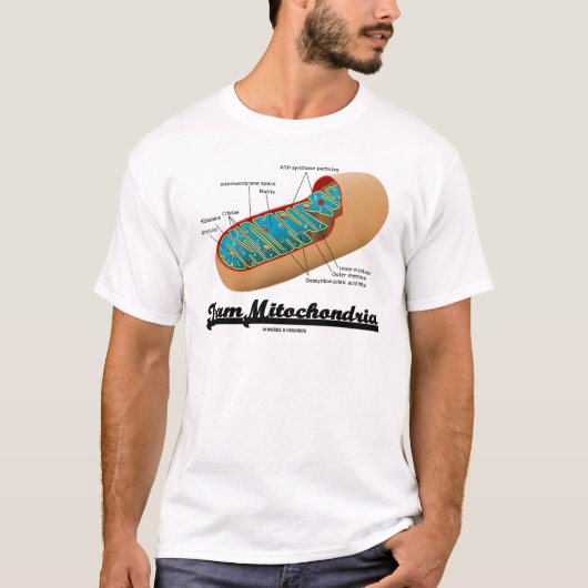 チームMitochondria (Mitochondrionのユーモア) Tシャツ (正面)