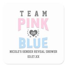 チームPINKまたはBLUEジェンダーが赤ちゃんのシャワーの好意を明らかにする