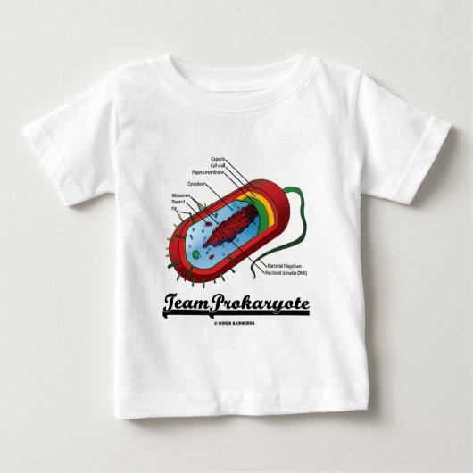 チームProkaryote (細菌) ベビーTシャツ (正面)