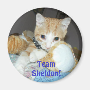 チームsheldonの磁石 マグネット