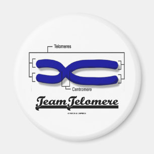 チームTelomere (生物学のユーモア) マグネット