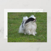 チ日本のン ポストカード (正面/裏面)