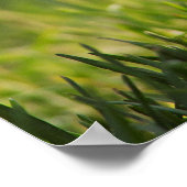 チ熱狂するッおもしろいク ポスター (角)