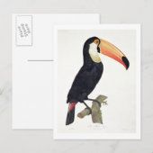 ツァカン2号、 'History of the Birds of Paradis'より ポストカード (正面/裏面)