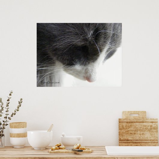 ツァー1 ポスター (キッチン)