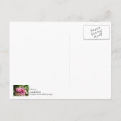 ツイストした美しさ ポストカード (裏面)