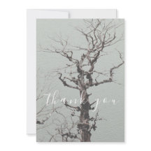 ツイストウェザードツリーブルーレイクフラットサンキュー