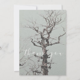 ツイストウェザードツリーブルーレイクフラットサンキュー サンキューカード