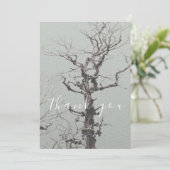 ツイストウェザードツリーブルーレイクフラットサンキュー サンキューカード (スタンド正面)