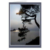 ツイストパイン (正面)