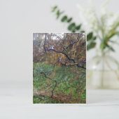 ツイストヘイゼル ポストカード (スタンド正面)