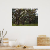 ツイストライブオークスプリント ポスター (キッチン)