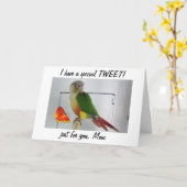 ツイッター？母の日のためにあなたの母をツイートする カード (黄色い花)