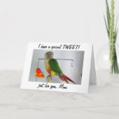 ツイッター？母の日のためにあなたの母をツイートする カード (正面)