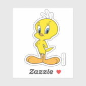 ツイティ™ |賢い鳥 シール (シート)