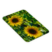 ツインひまわり マグネット (右側)