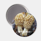 ツインイエローモレル、~ミシガン・モレル~ マグネット (正面/裏面)