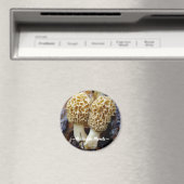 ツインイエローモレル、~ミシガン・モレル~ マグネット (インサイチュ (食洗機))