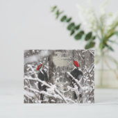 ツインウッドペッカー – はがき (スタンド正面)