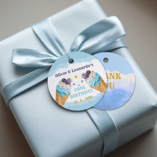 ツインクールアイスクリームボーイズ誕生日紙プレート フェイバータグ