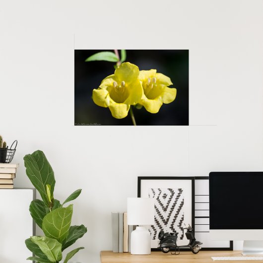 「ツインサンズ」イエローフォックスグローブワイルドフラワーポスター ポスター (ホームオフィス)