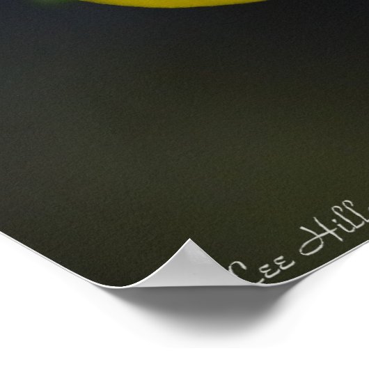 「ツインサンズ」イエローフォックスグローブワイルドフラワーポスター ポスター (角)