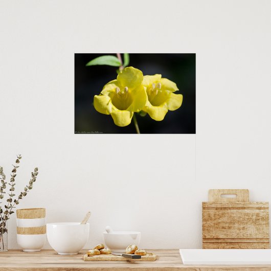 「ツインサンズ」イエローフォックスグローブワイルドフラワーポスター ポスター (キッチン)