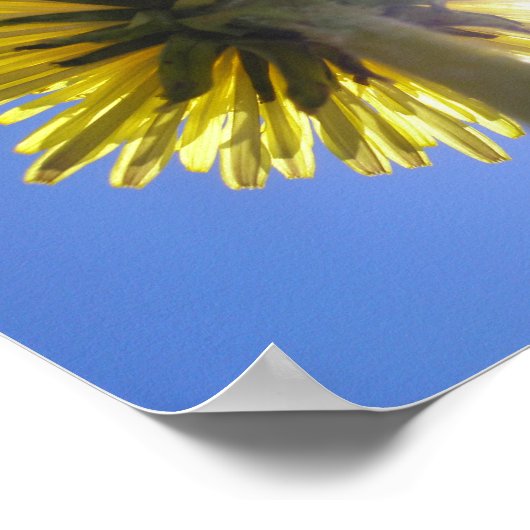 ツインサンズ ポスター (角)