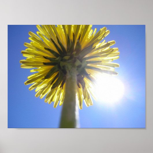 ツインサンズ ポスター (正面)