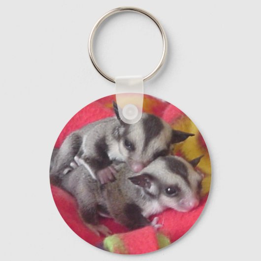 ツインジョイズキーチェーン キーホルダー (正面)