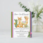 ツインズタコフィエスタベビーシャワーラマ (スタンド正面)