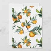 ツインズツーリトルかわいこちゃんオンザウェイベイビーシャワー 招待状 (裏面)