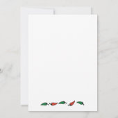 ツインズボーイガールメキシカンフィエスタベビーシャワー招待状 招待状 (裏面)