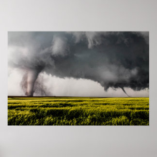 ツインズポスター ポスター