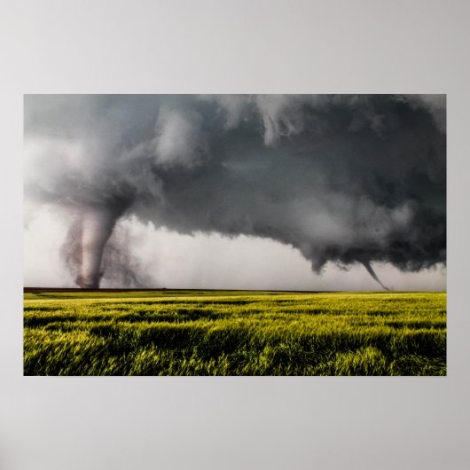 ツインズポスター ポスター (正面)