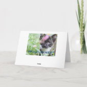 ツインタキシード子猫誕生日カード カード (裏面)