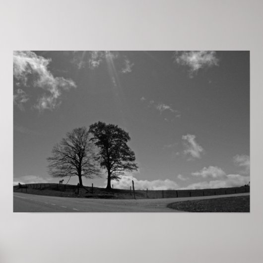 ツインツリーズマウンテン牧草地ポスター ポスター (正面)