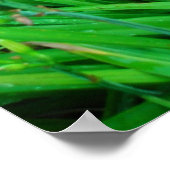 ツインデイリリーとアルテメシア ポスター (角)