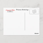 ツインバタフライハガキ ポストカード (裏面)