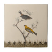 ツインバード調和セラミックタイル タイル (正面)