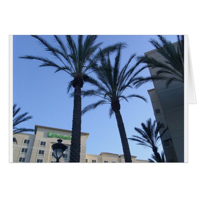 ツインパームスカリフォルニアバケーション (正面横)