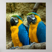 ツインビーク ポスター (正面)