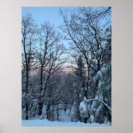 ツインピークス雪の月 ポスター (正面)