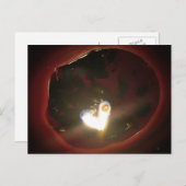 ツインフレームハート ポストカード (正面/裏面)