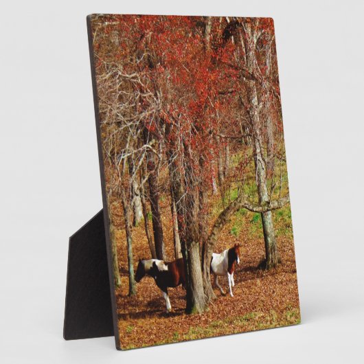 ツインブラウンとホワイトホース フォトプラーク (側面)