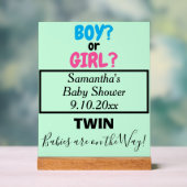 ツインベビーシャワーピンクブルーママの名前は緑 アクリルサイン (ニュートラル)